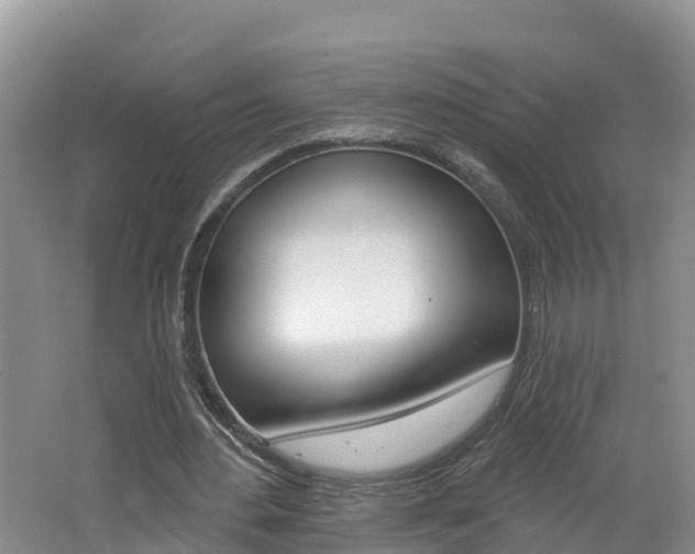 X0000062610484200512210941