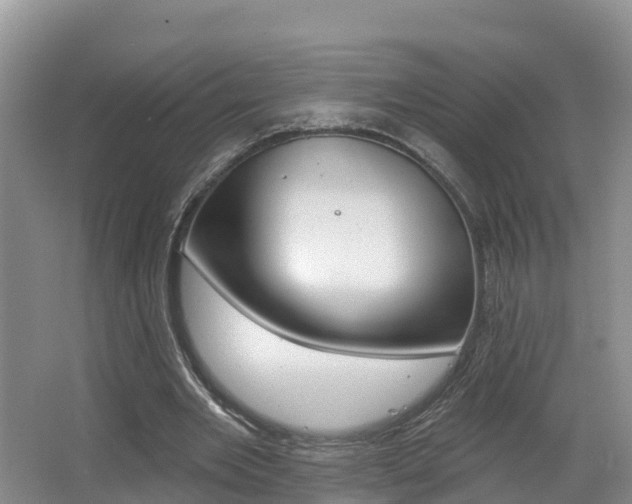 X0000062610485200512210941
