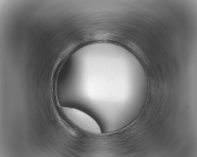 X0000062610486200512210941