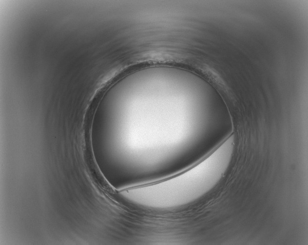 X0000062610488200512210941