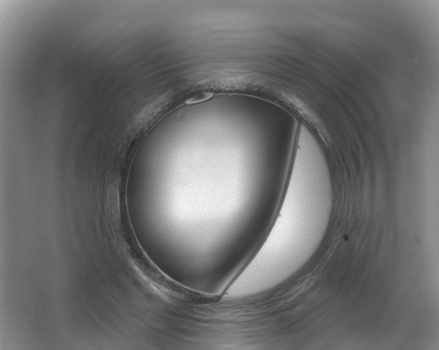 X0000062610493200512210941