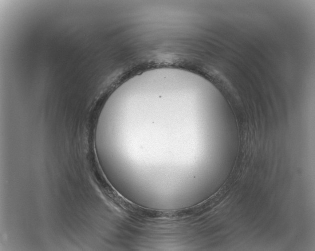 X0000062610496200512210941