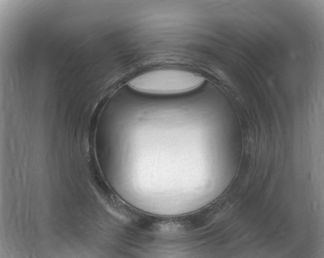 X0000062610500200512210941