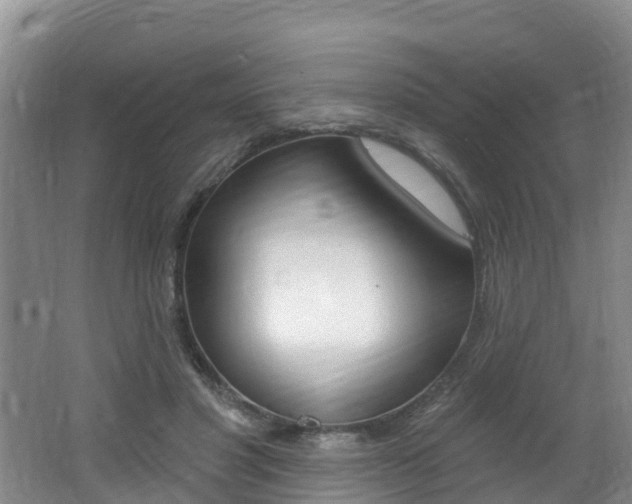 X0000062610501200512210941
