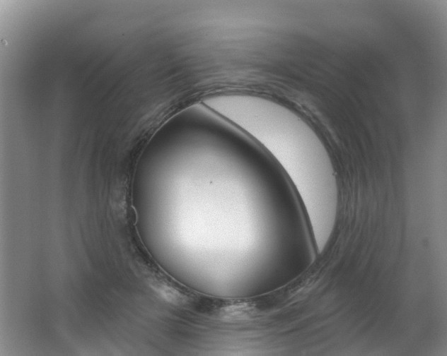 X0000062610505200512210941