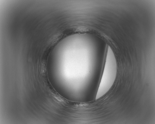X0000062610517200512210941