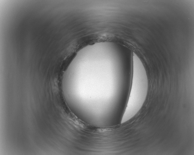 X0000062610520200512210941