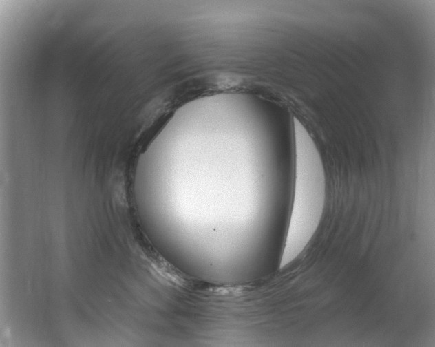 X0000062610524200512210941