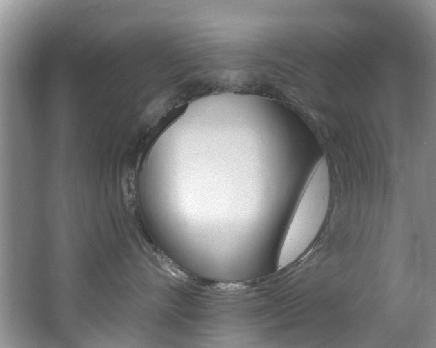X0000062610528200512210940