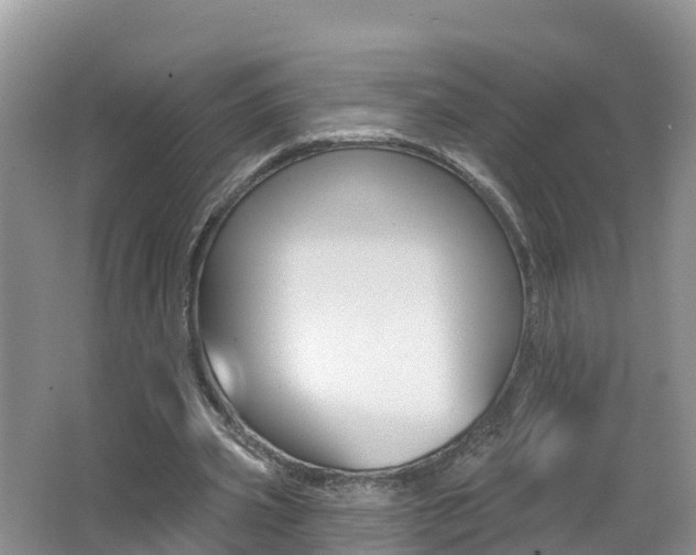 X0000062610533200512210940