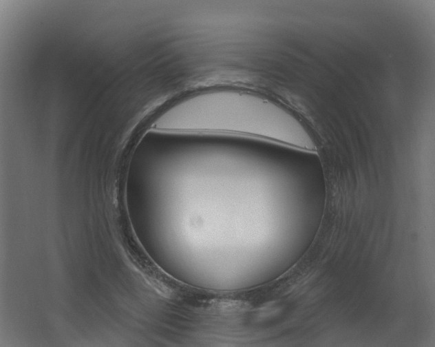 X0000062610539200512210940