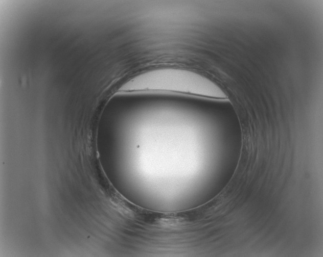 X0000062610556200512210940