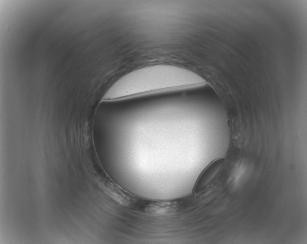 X0000062610563200512210940