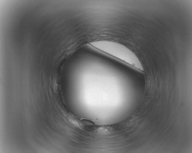 X0000062610566200512210940