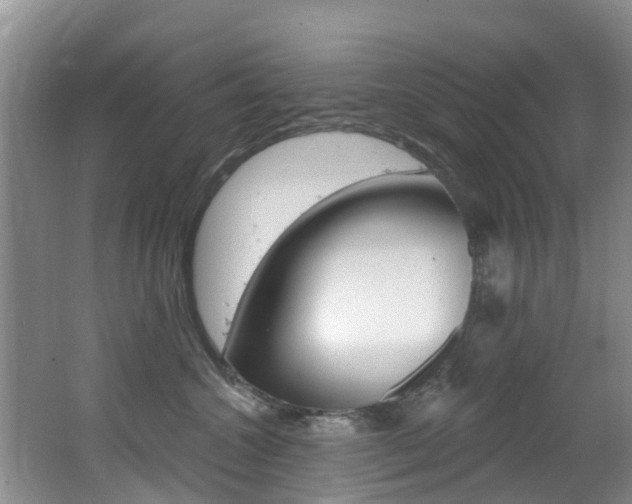 X0000062610572200512210940