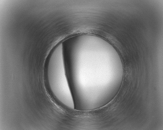 X0000062610578200512210940