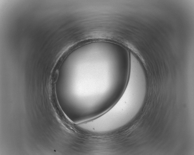 X0000062610580200512210940