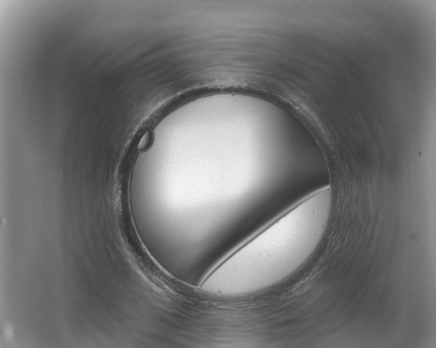 X0000062610584200512210939