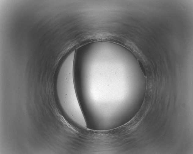 X0000062610585200512210939