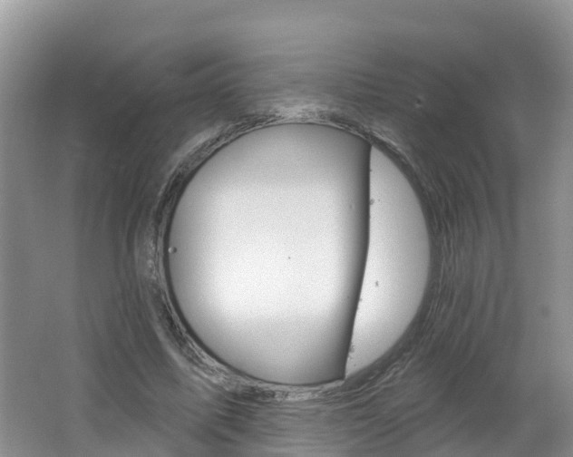X0000062610587200512210939