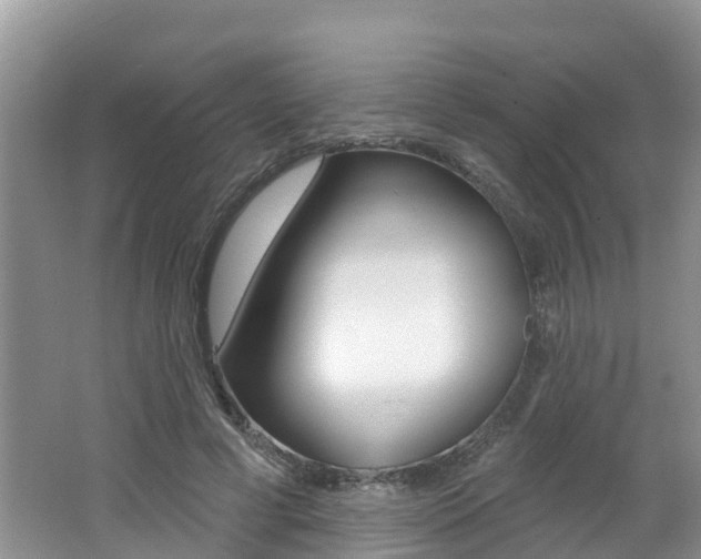 X0000062610593200512210939