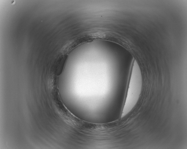 X0000062610600200512210939