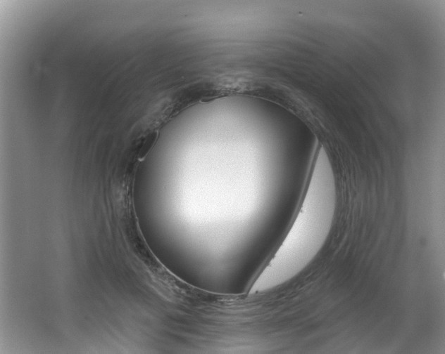 X0000062610601200512210939