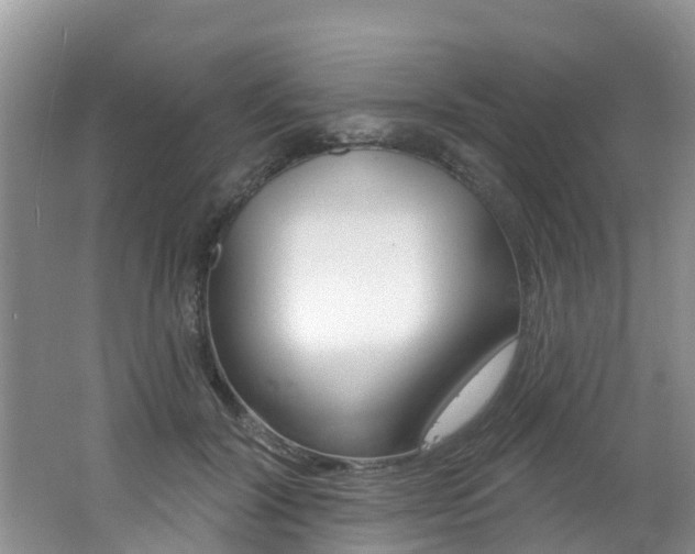 X0000062610604200512210939