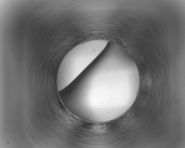 X0000062610606200512210939
