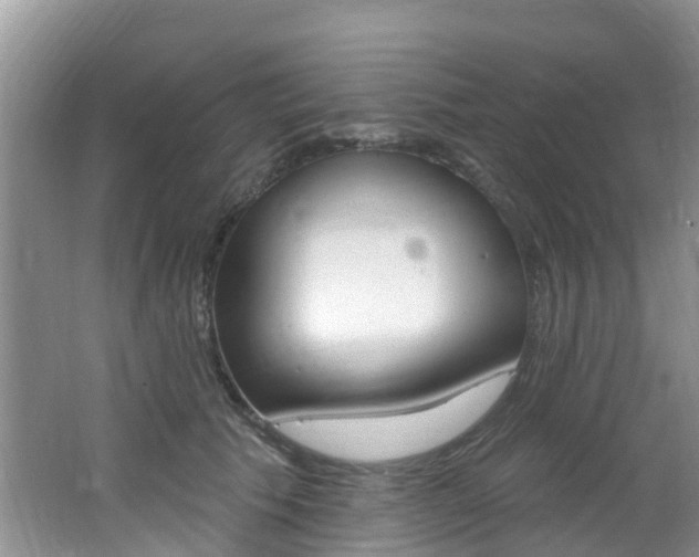 X0000062610609200512210939