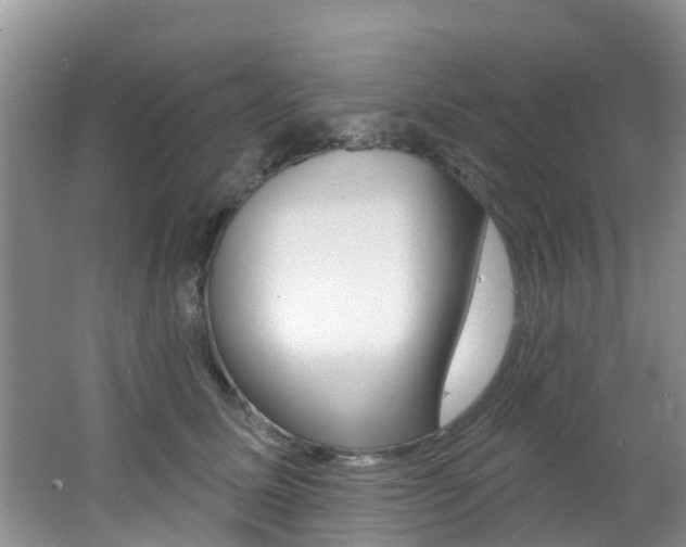 X0000062610611200512210939