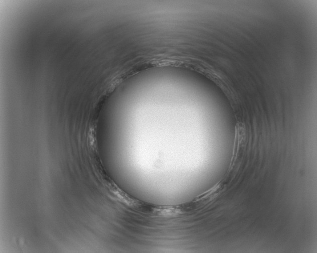 X0000062610621200512210939