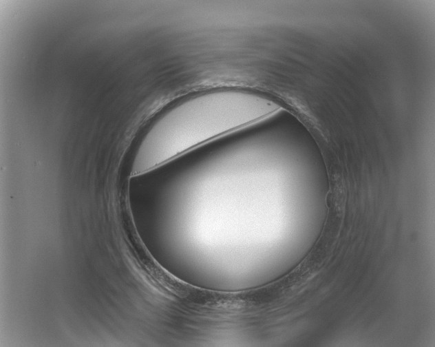 X0000062610631200512210938