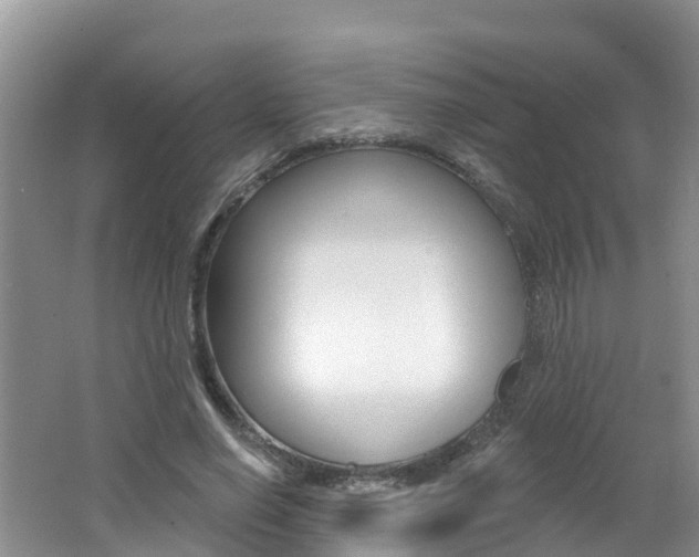 X0000062610638200512210938