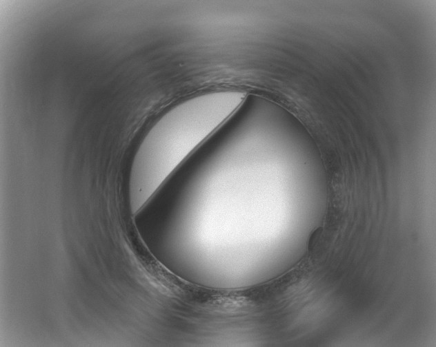 X0000062610642200512210938