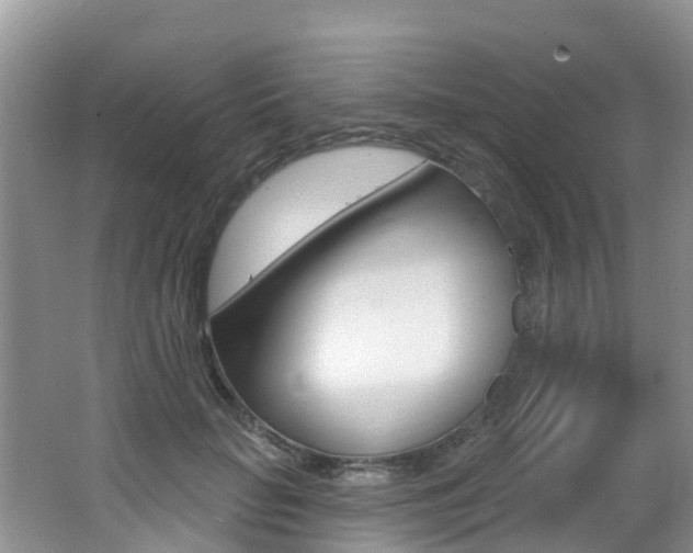 X0000062610653200512210938