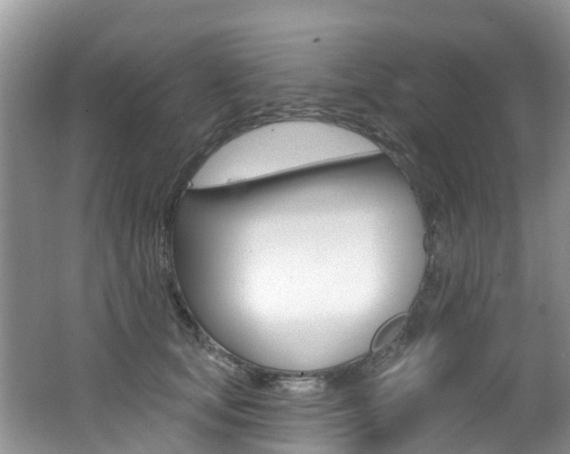 X0000062610659200512210939