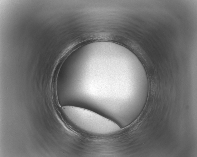 X0000062610674200512210938