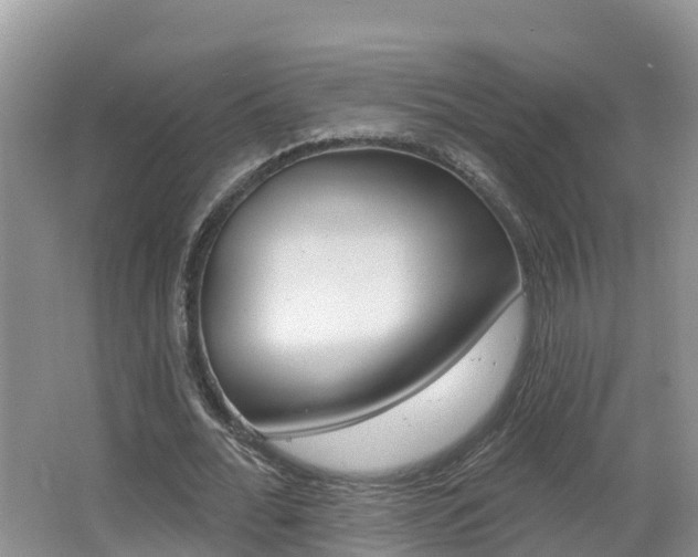 X0000062610676200512210938