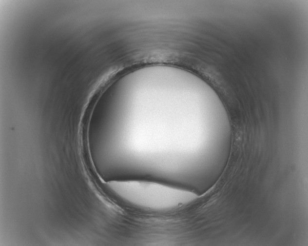 X0000062610678200512210938