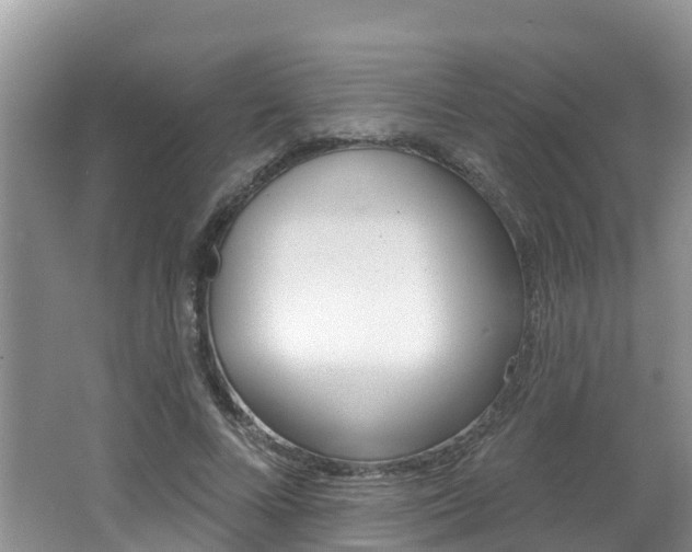 X0000062610688200512210938