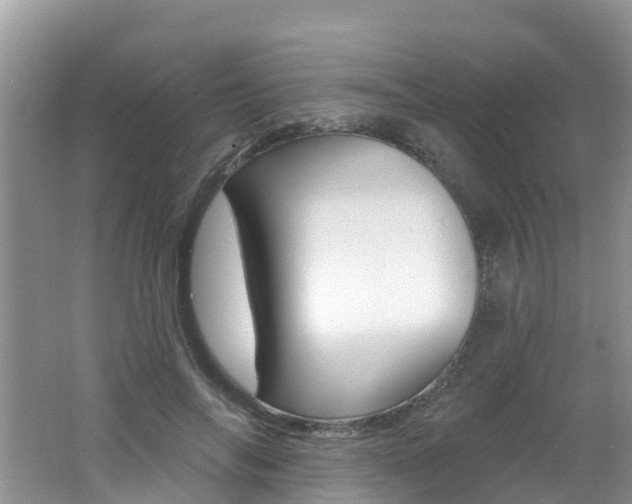 X0000062610694200512210938