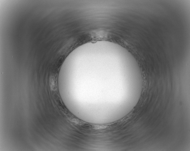 X0000062610709200512210937