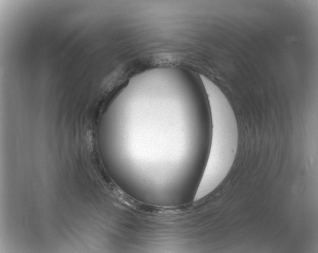 X0000062610716200512210937
