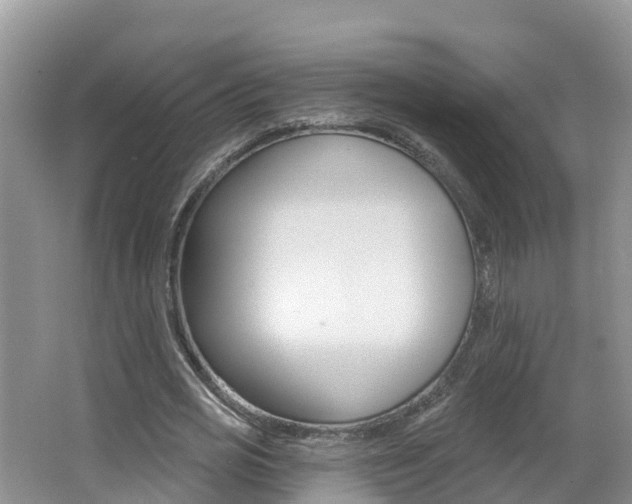 X0000062610725200512210936
