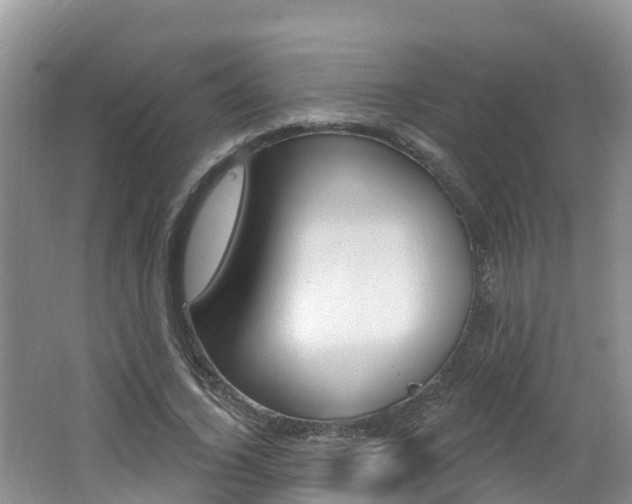 X0000062610732200512210936