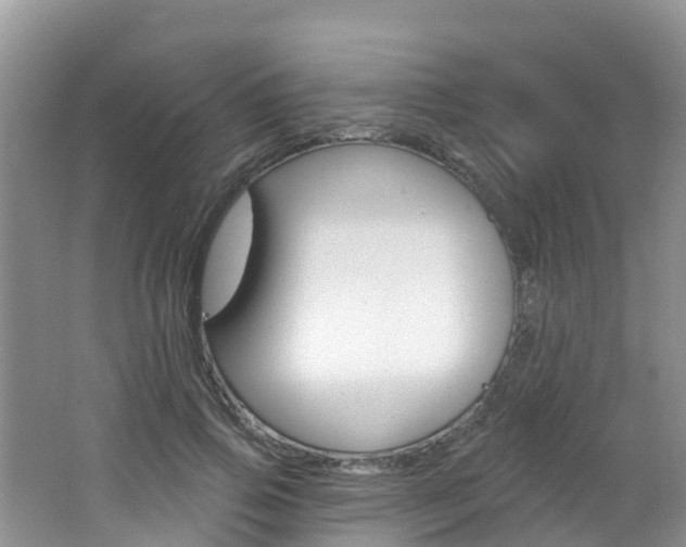 X0000062610741200512210937