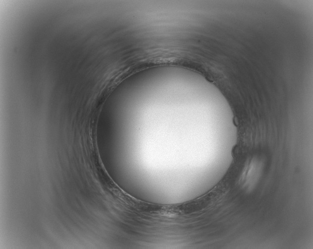 X0000062610743200512210937