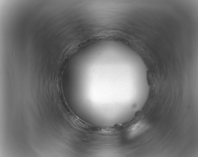 X0000062610758200512210937
