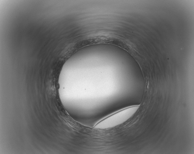 X0000062610771200512210936